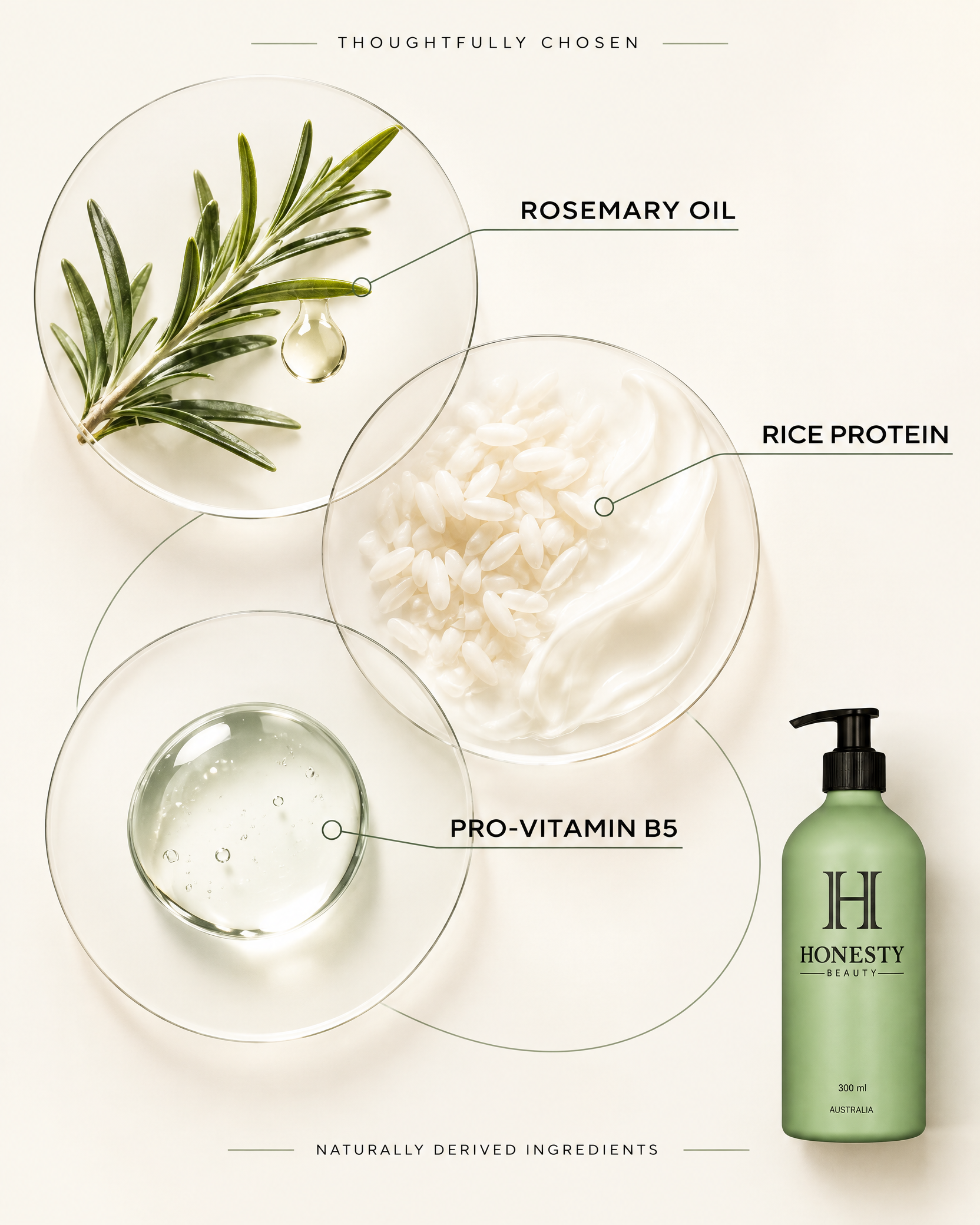 The Daily Ritual - Rosemary Oil Shampoo & Conditioner